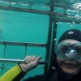 great white shark cage diving